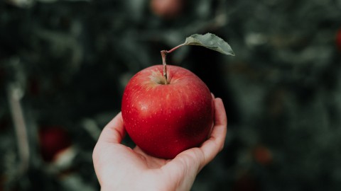 Dit is waarom appels gezond zijn