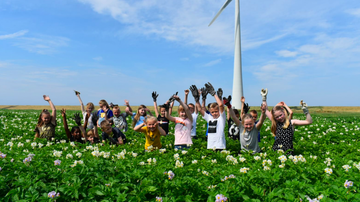 Steeds meer educatieboeren in Flevoland 