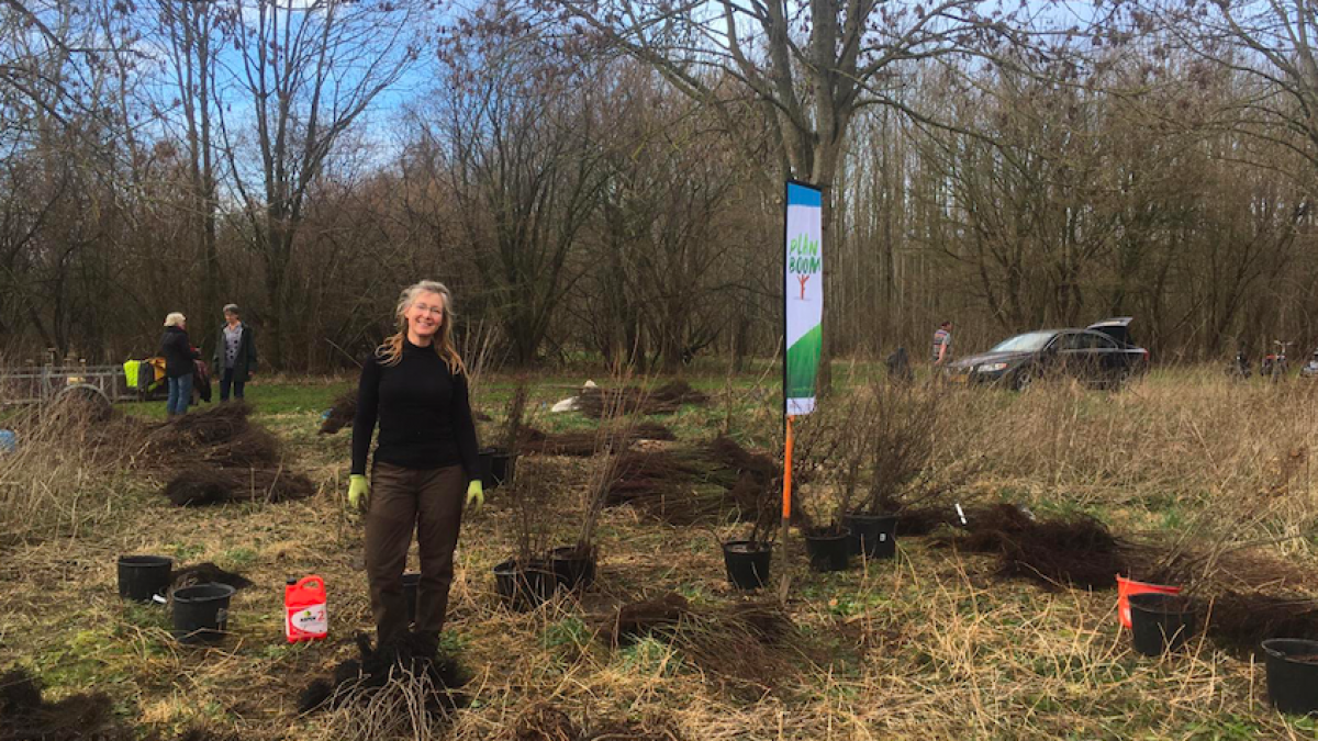 Plan Boom: op weg naar 500.000 bomen in Flevoland
