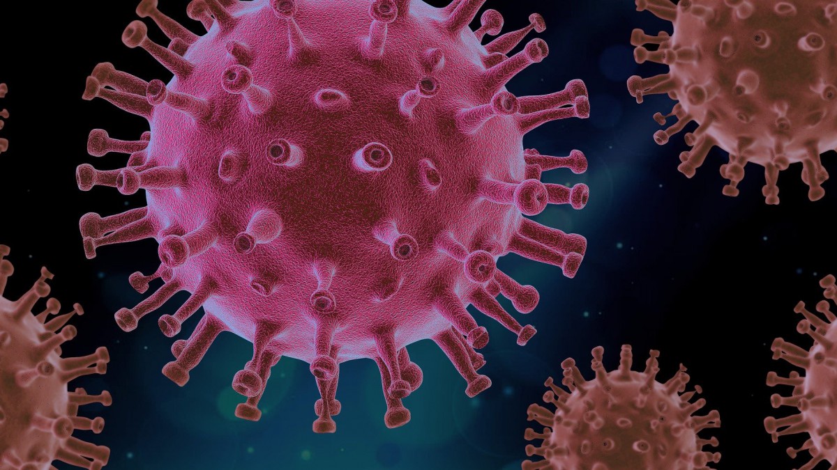 Corona.steffie.nl: het coronavirus eenvoudig uitgelegd 