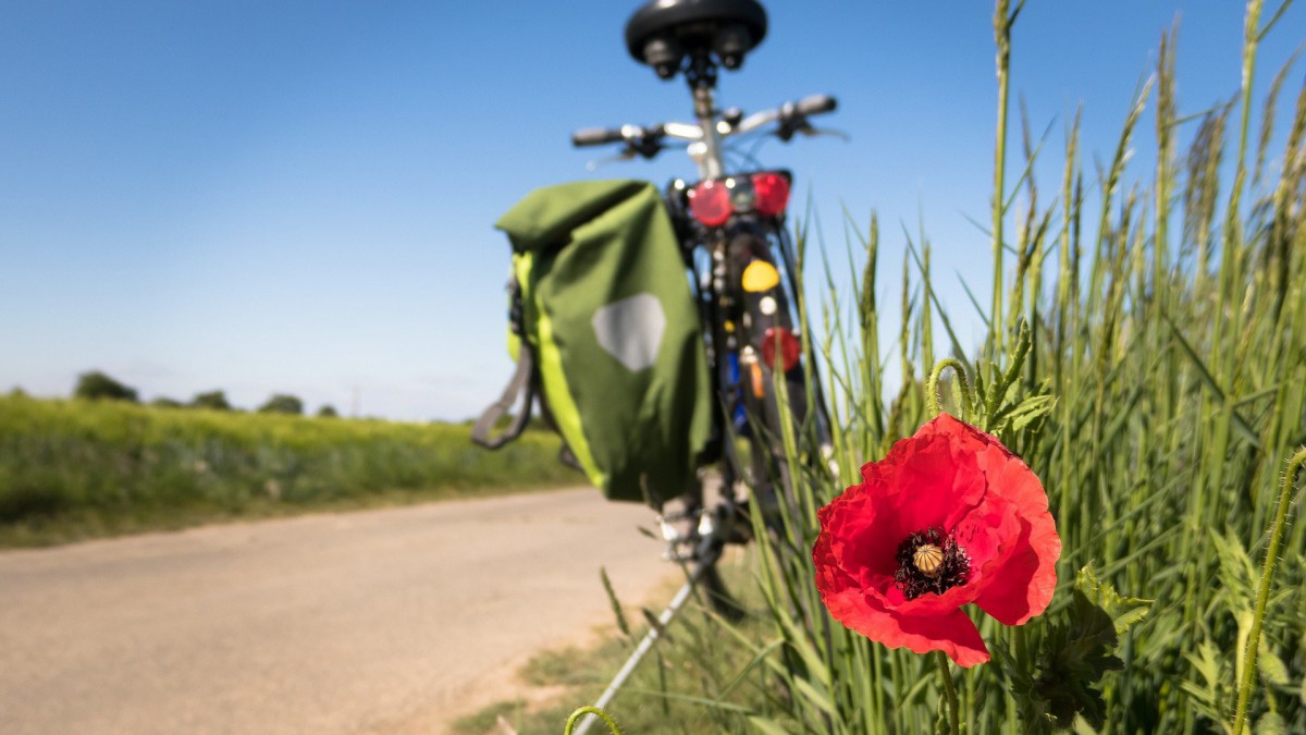 Kunstzinnige fietstocht door Nationaal Park Nieuw Land