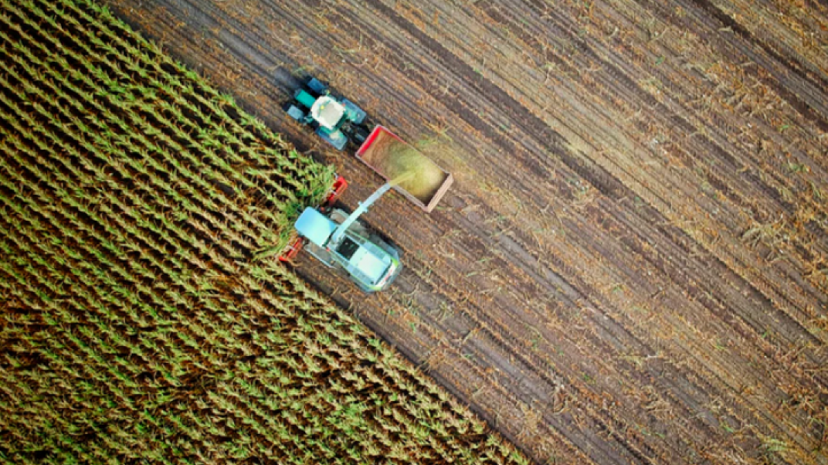 Zes miljoen euro beschikbaar voor verduurzaming landbouw