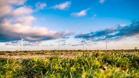 Gemeente Zeewolde zegt geen fout te hebben gemaakt met vergunning heipalen windpark
