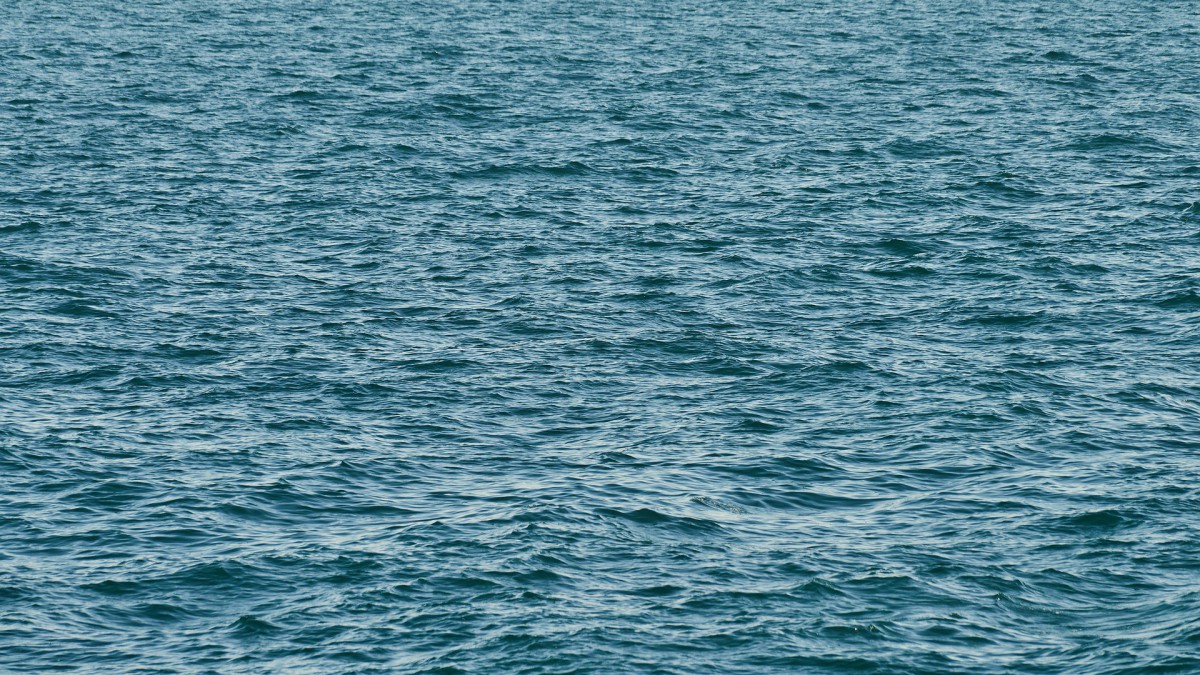 Heipalen Windpark Zeewolde door waterbeschermingslaag geslagen