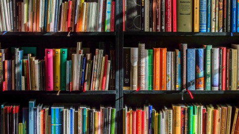 Beatrixschool in Ermelo heeft een eigen officiële Bibliotheek