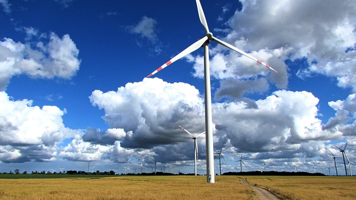 Provincie: geen windmolens in Oostvaardersplassen