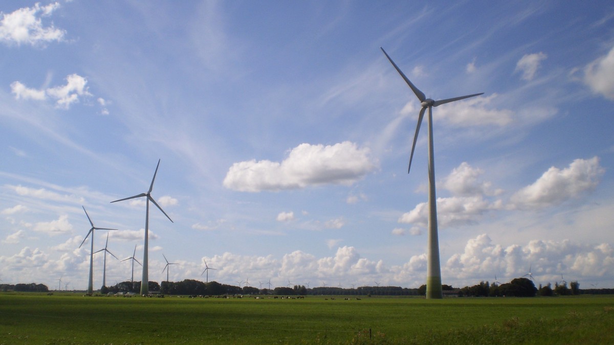 Windparkenbouwers kijken uit naar 10 september: 'Eindelijk meer duidelijk'