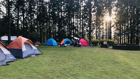 Camping de Parel is eindelijk verkocht