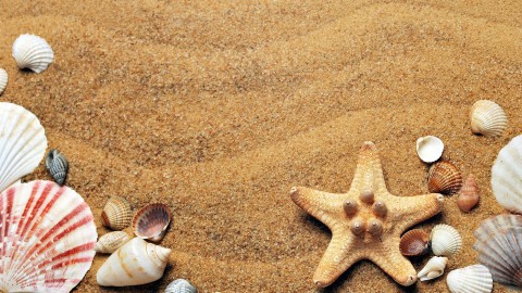 ChristenUnie: duidelijkere borden en regels op nieuw strand